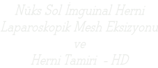 Nüks Sol İmguinal Herni Laparoskopik Mesh Eksizyonu ve Herni Tamiri  - HD